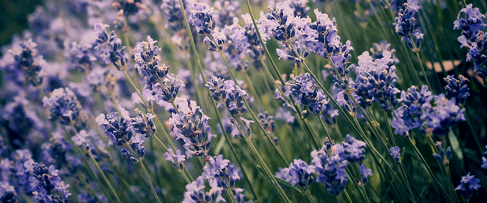 ddos压力测试平台